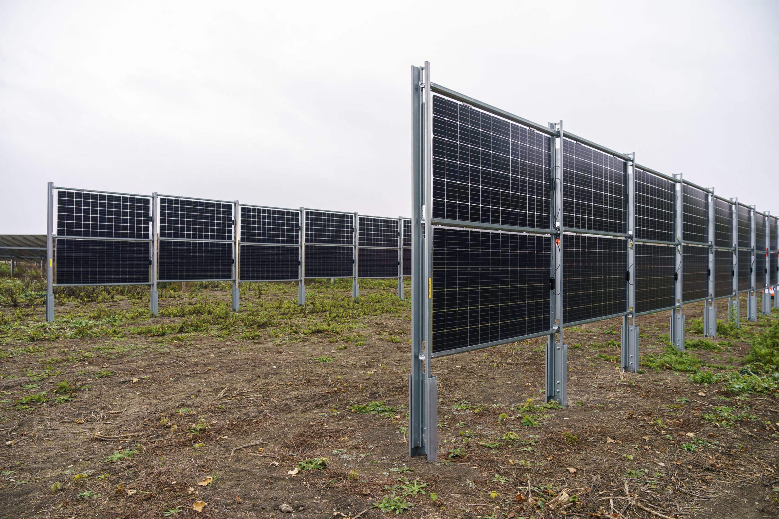 Reihen vertikaler Solarmodule auf einem Feld unter einem bewölkten Himmel. Die Anlage ist die erste Agrar-Photovoltaik-Anlage Österreichs.