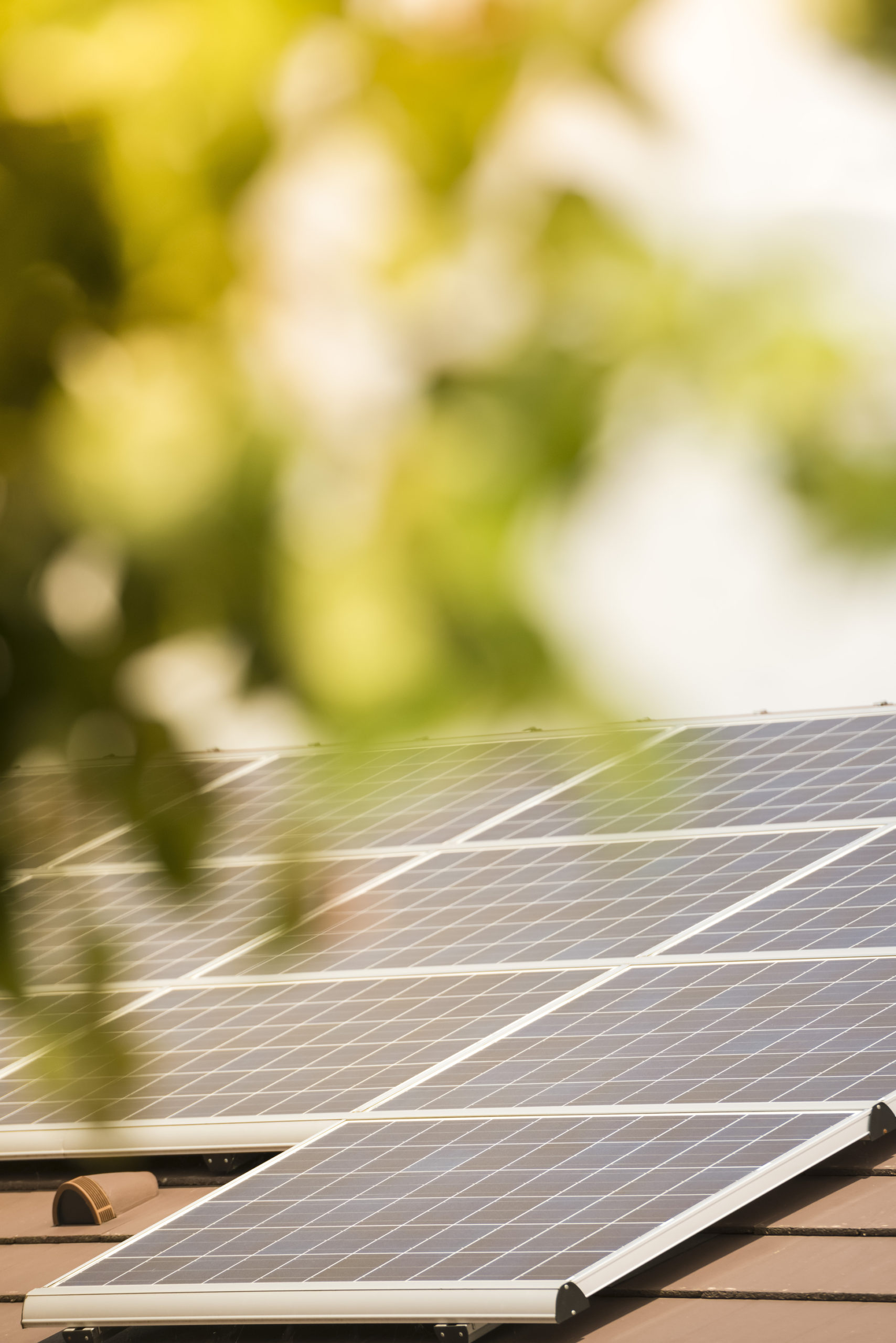 Eine Photovoltaik-Anlage auf einem Hausdach mit Blätter im Vordergrund.