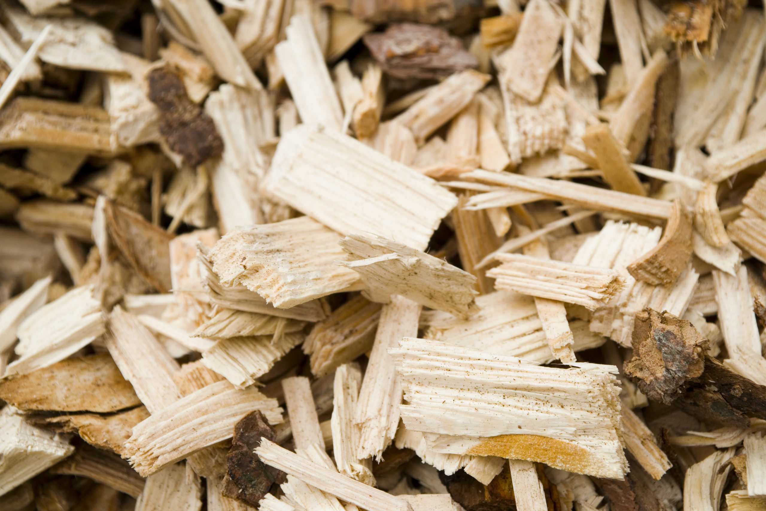 wien-energie-biomasse-hackschnitzel