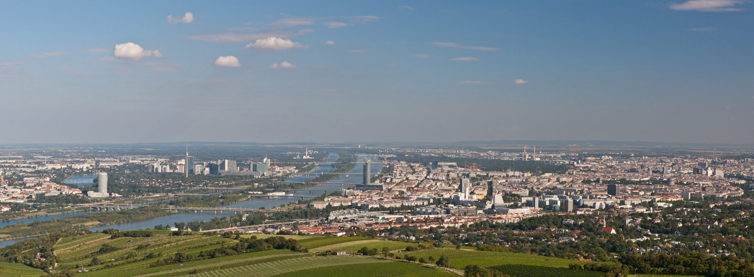 Aussicht über Wien