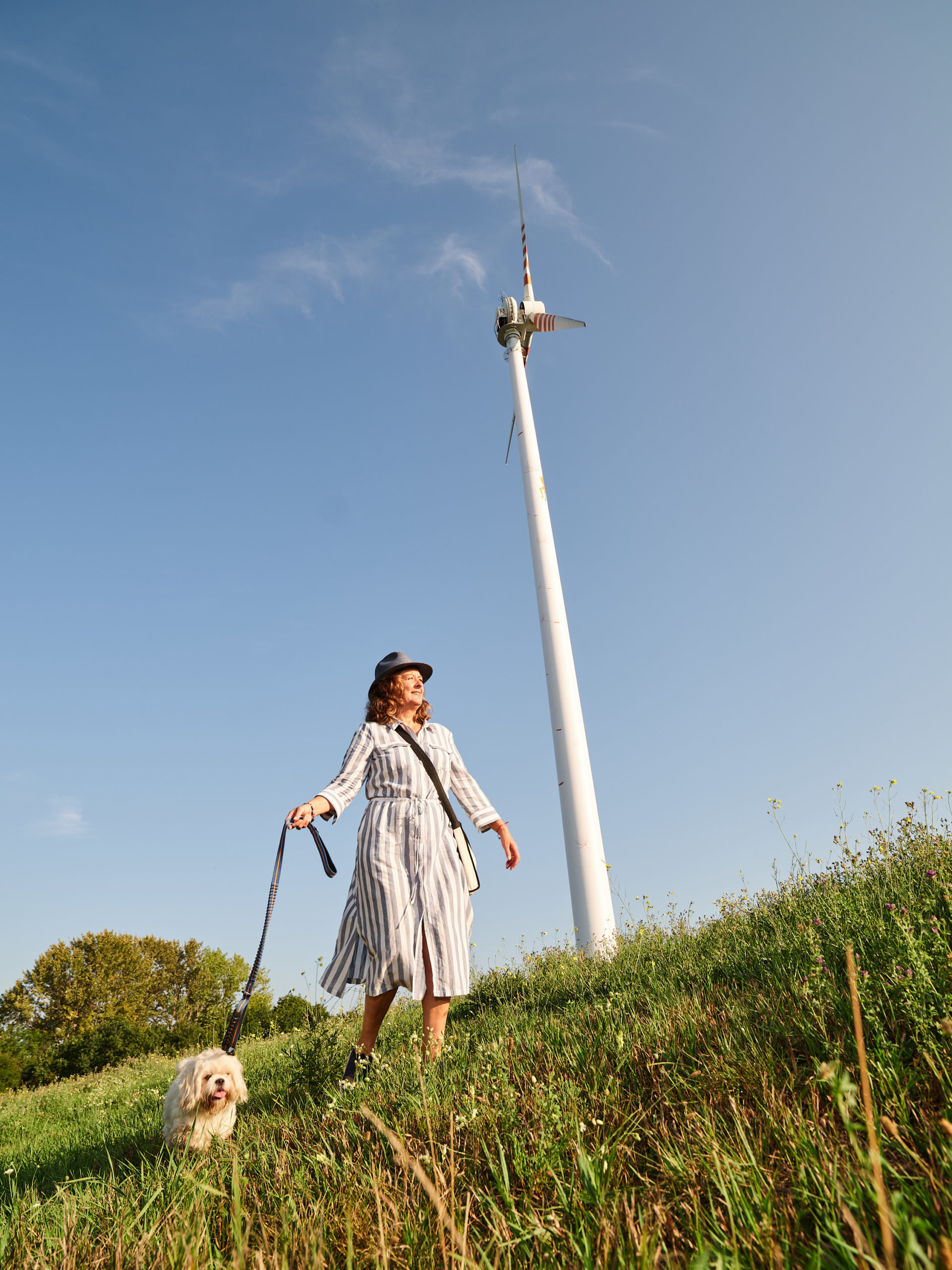 Eine Frau im gestreiften Kleid geht mit ihrem Hund unter einem klaren blauen Himmel auf einer Wiese in der Nähe der Windkraftanlage Donauinsel spazieren.