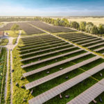 Luftaufnahme einer großen Photovoltaikanlage in der Schafflerhofstraße, umgeben von Feldern und Bäumen unter einem klaren Himmel.