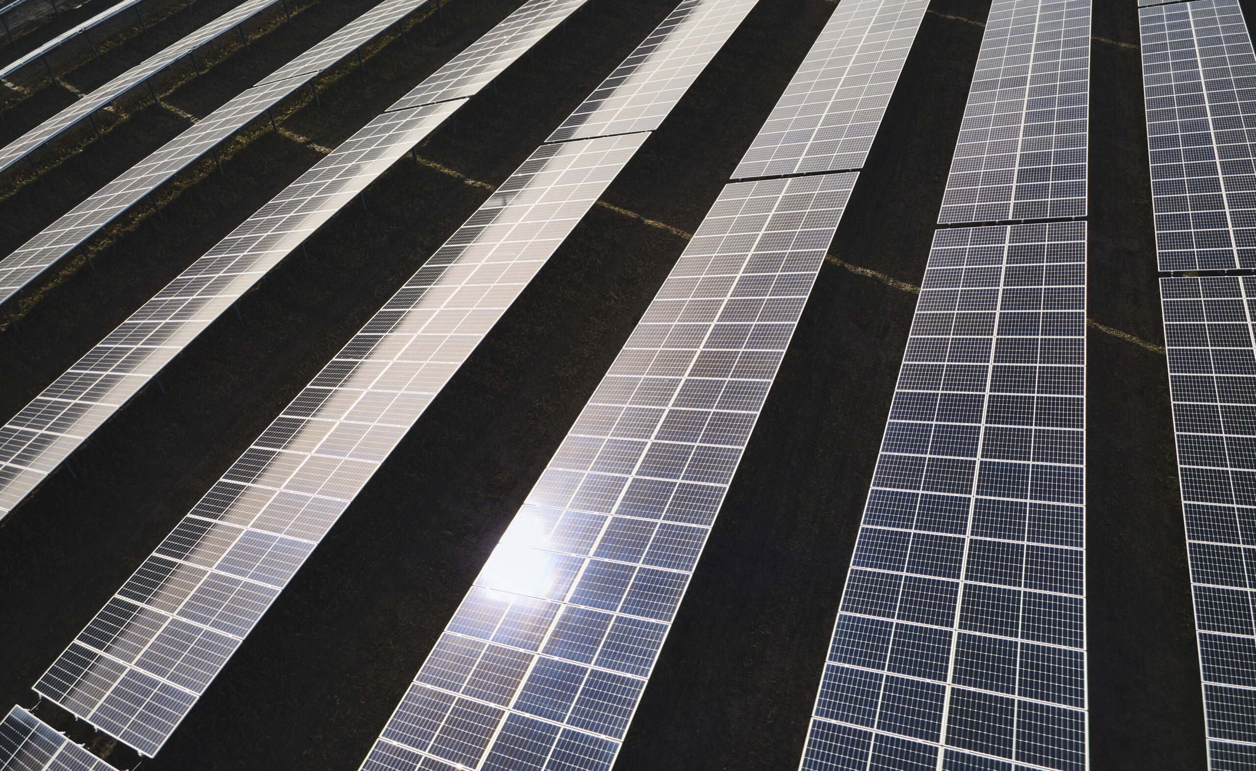 Luftaufnahme von Solarmodulen, die in parallelen Reihen auf einem Feld angeordnet sind und das Sonnenlicht reflektieren.