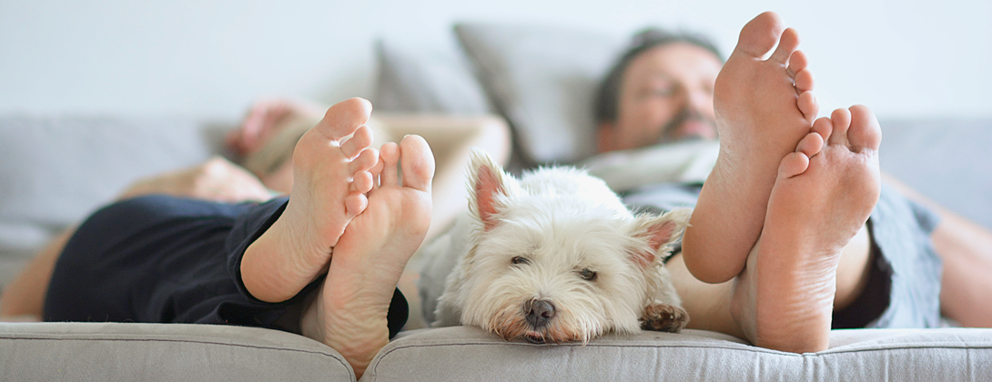 iStock-1022420624-c-ela-bracho-1090x420