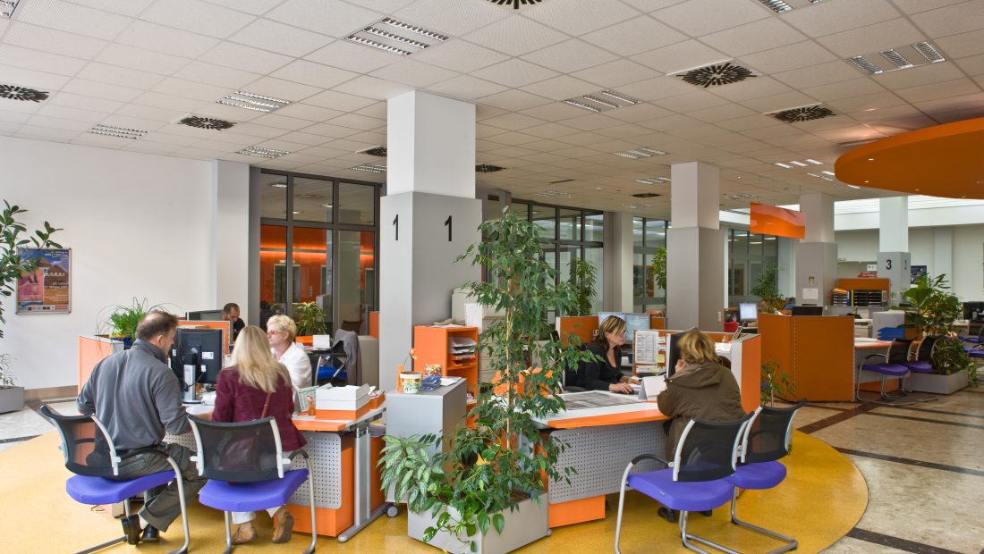 Menschen arbeiten an Schreibtischen in einem hellen, modernen Büro mit Pflanzen und orangefarbenen Akzenten.