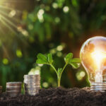 Glühbirne steckt in der Erde neben einer grünen Pflanze und Euromünzen und leuchtet.