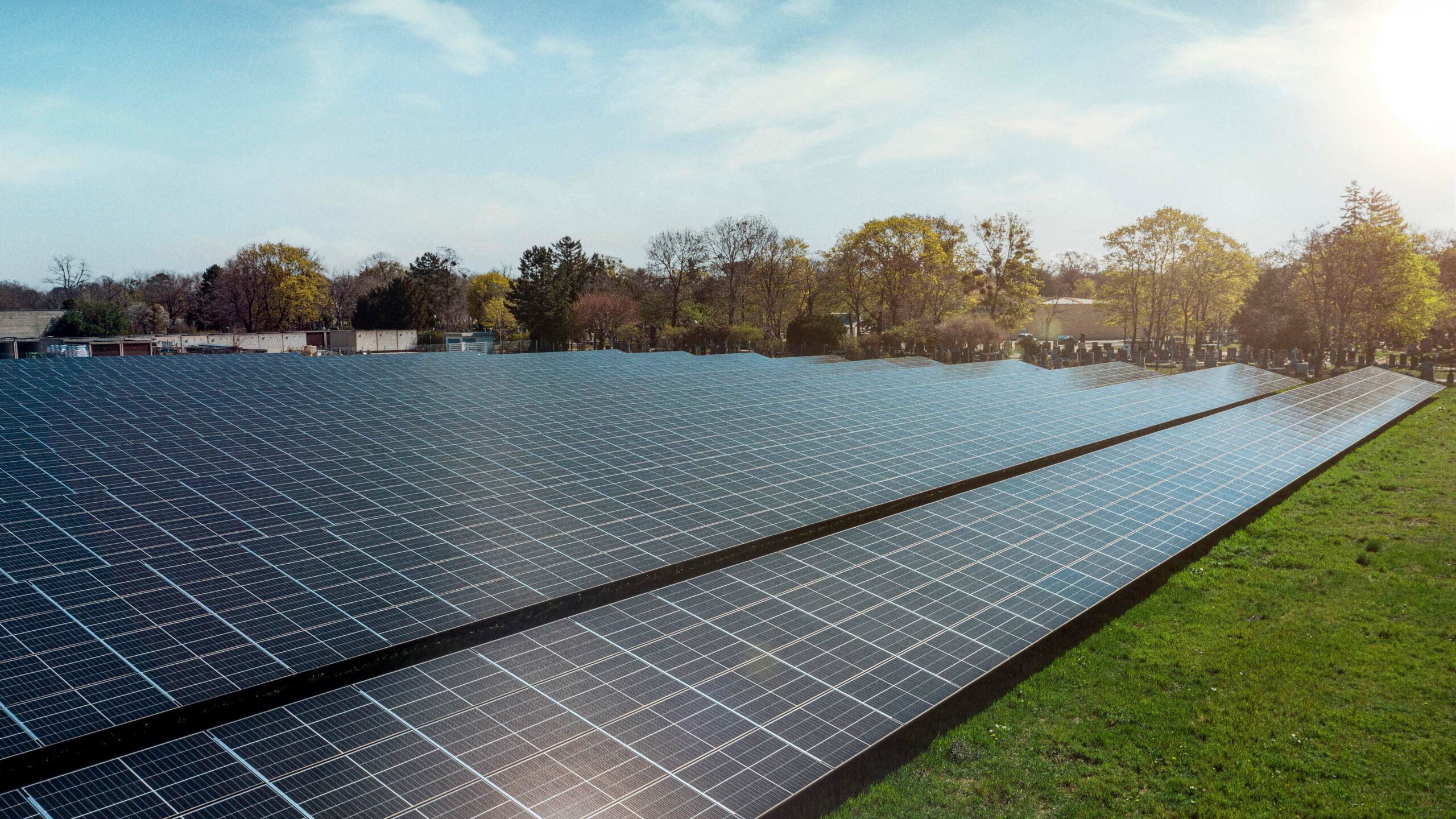 Ein Bild von einer Wiese mit vielen Reihen an Solarpaneelen. Im Hintergrund ist ein blauer Himmel und eine Reihe an Bäumen.