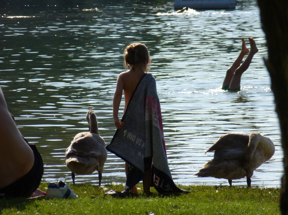 An einem ruhigen Tag am See beobachtet ein in ein Handtuch gewickeltes Kind, wie Schwäne anmutig über das Wasser gleiten, während eine andere Person im Wasser schwimmt.
