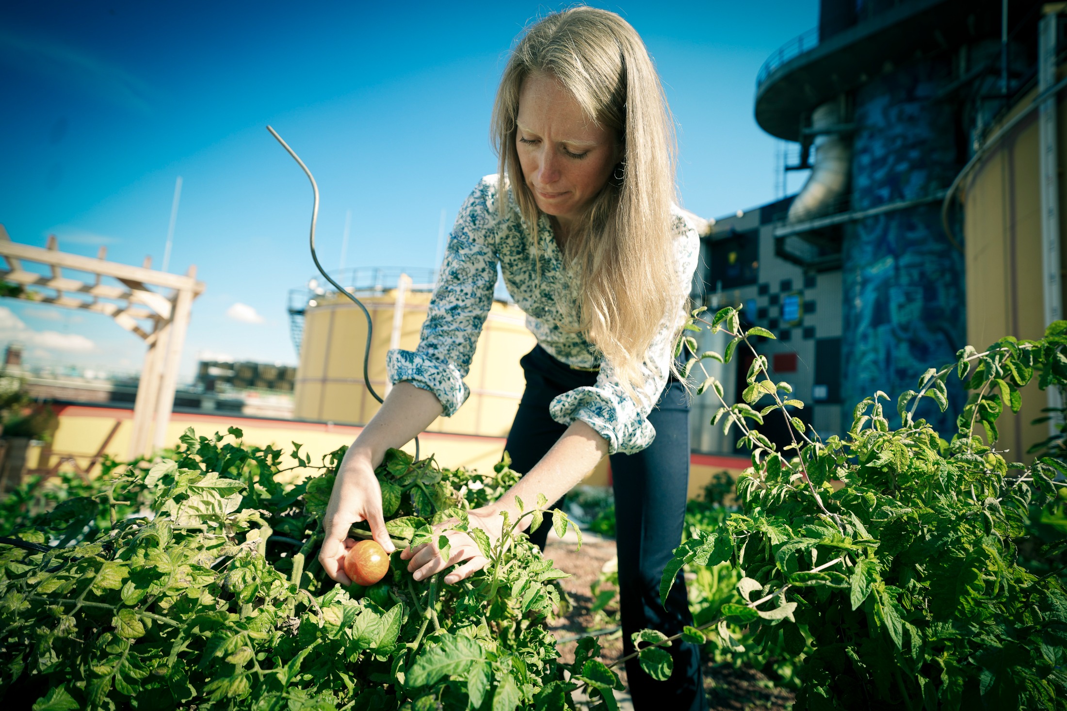 Anna Gantner beim Urban Gardening