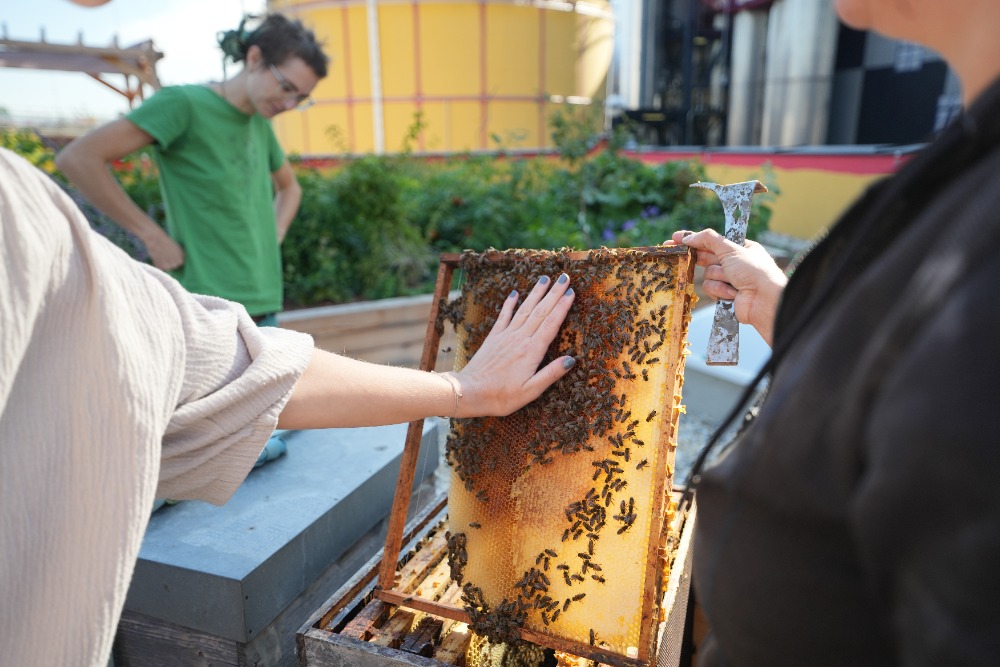 Bienen aus der Stadt, E-Heizer Spittelau