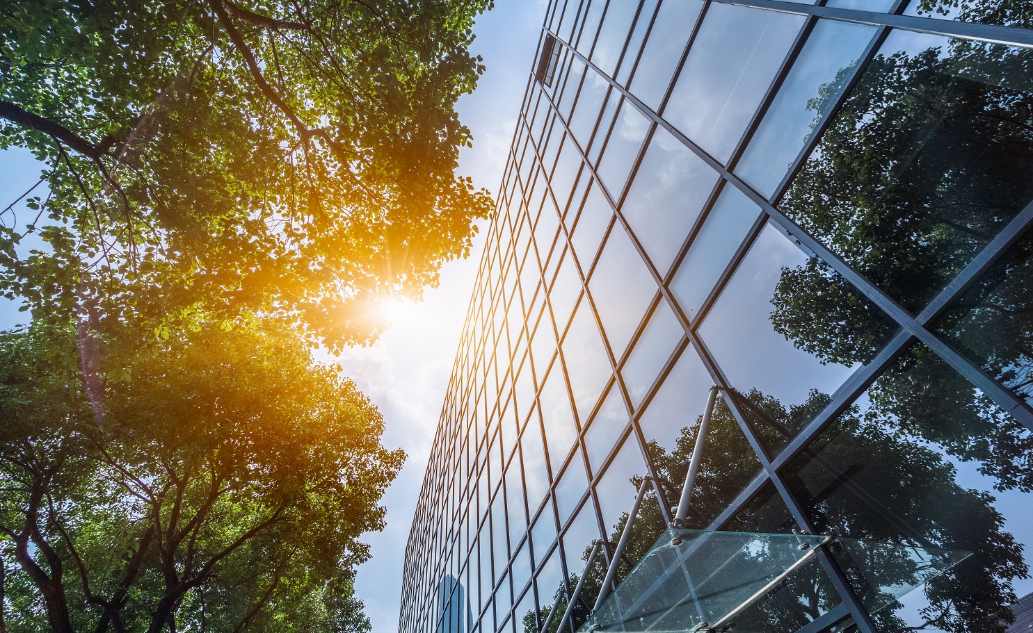 modern office building with green leaves