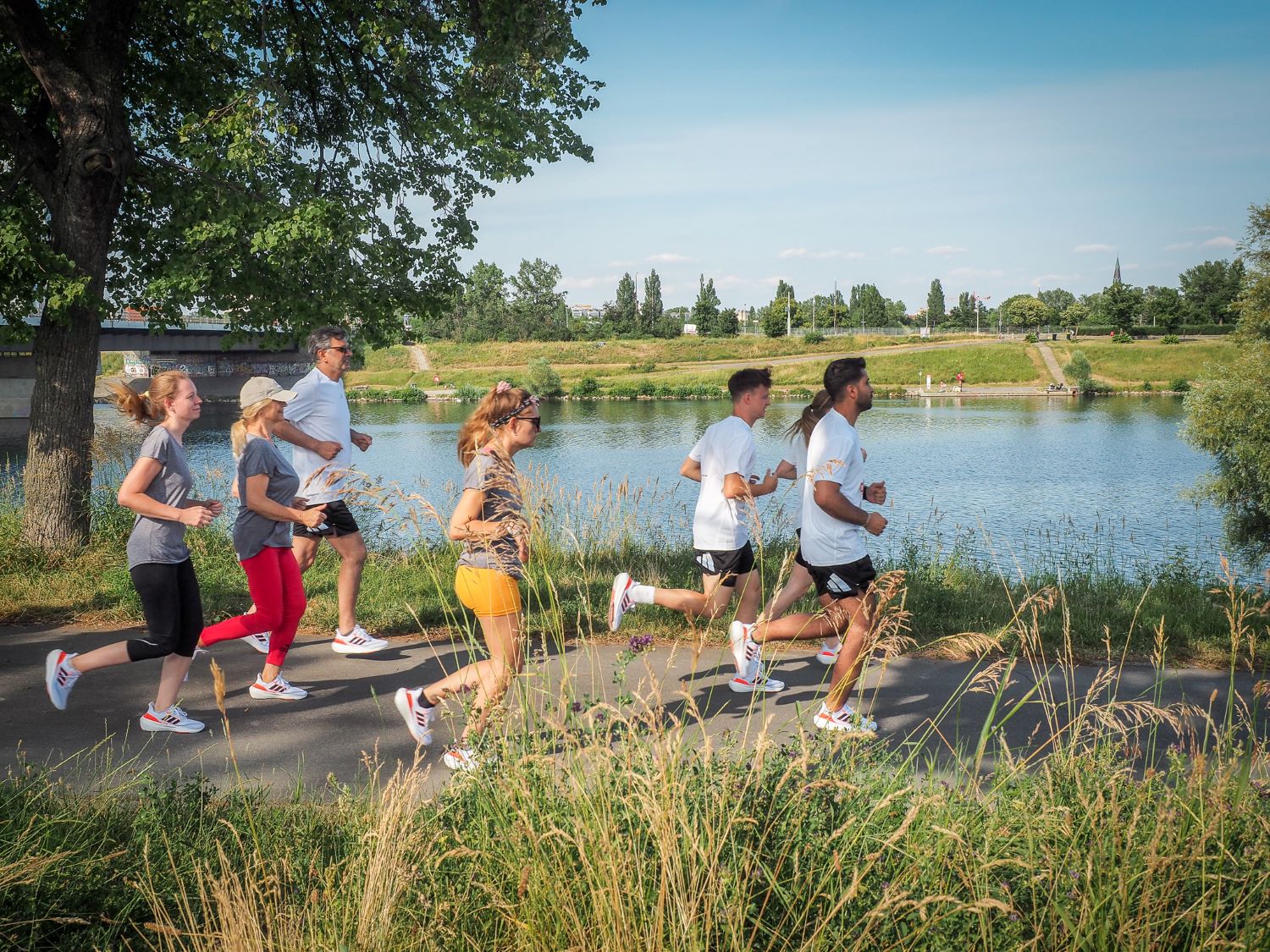 Eine Gruppe von Menschen joggt bei sonnigem Himmel auf der Donauinsel. Im Hintergrund viel Grün und eine Brücke.