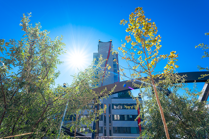 Sonnenlicht schimmert durch die Bäume und hebt ein modernes Gebäude - die Spittelau  vor einem strahlend blauen Himmel hervor.