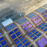 Luftaufnahme eines großen Dachs, das mit Reihen organischer Solarzellen geschmückt ist.