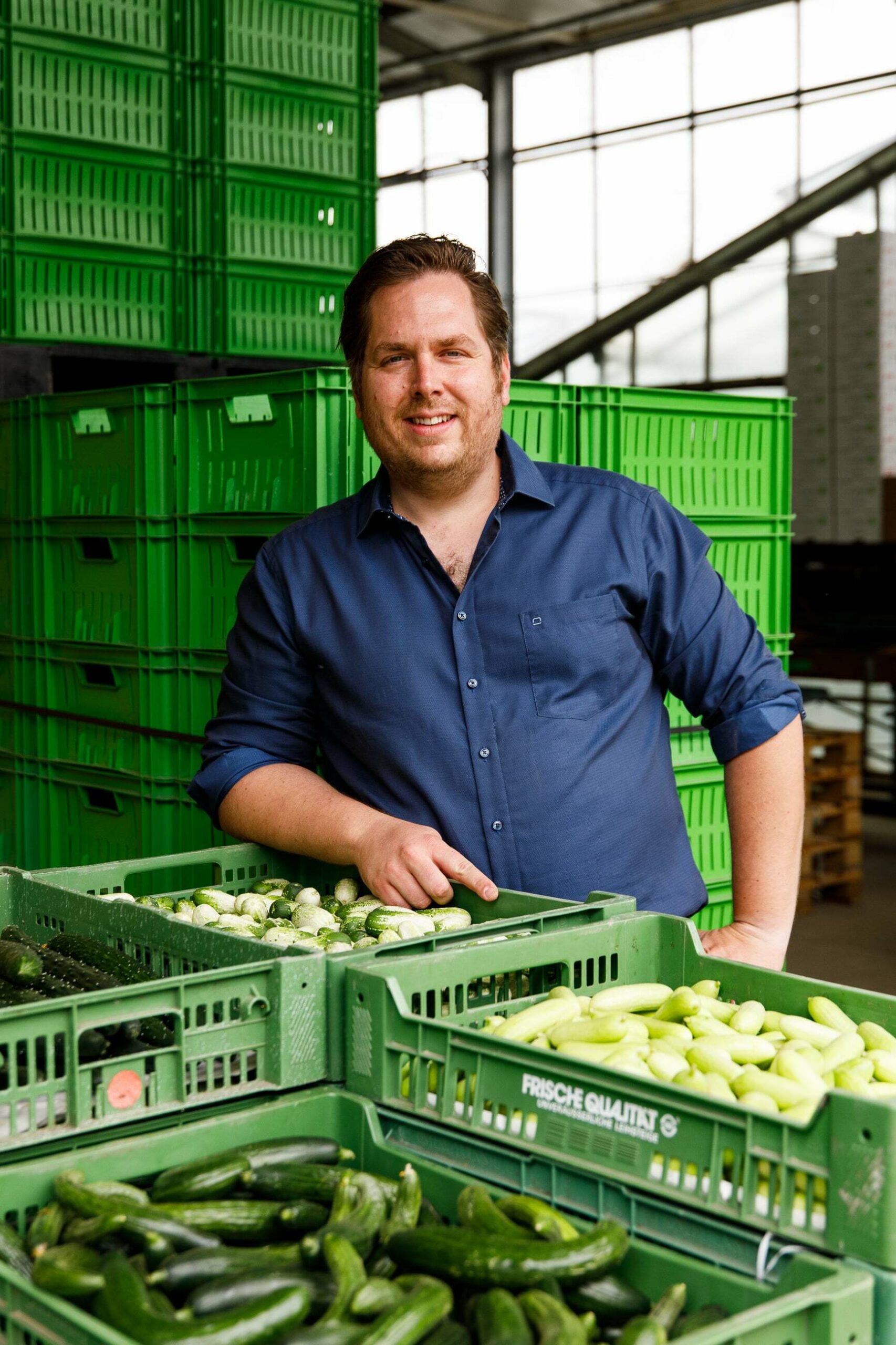 Ein Mann in einem blauen Hemd steht in einer Lagerhalle der Gärtnerei Kasehs neben grünen Kisten mit Gurken.