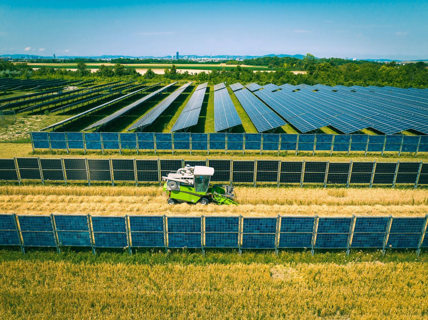 Luftaufnahme eines Traktors, der an einem sonnigen Tag neben Solarmodulen der Schafflerhofstraße Weizen erntet, mit Hügeln im Hintergrund.