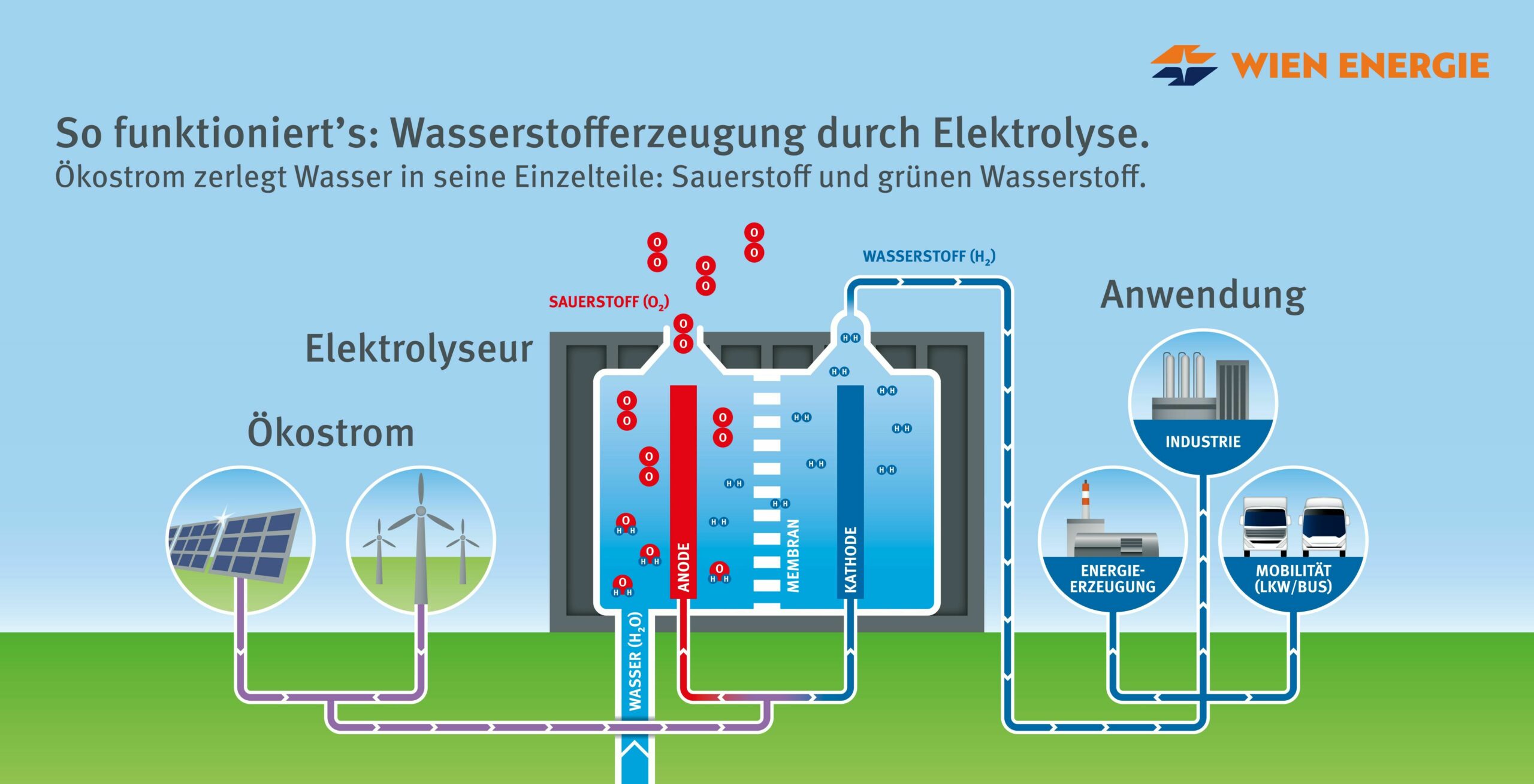 Infografik Funktionsweise Wasserstoff-Erzeugungsanlage - Durch Elektrolyse wird aus Ökostrom grüner Wasserstoff