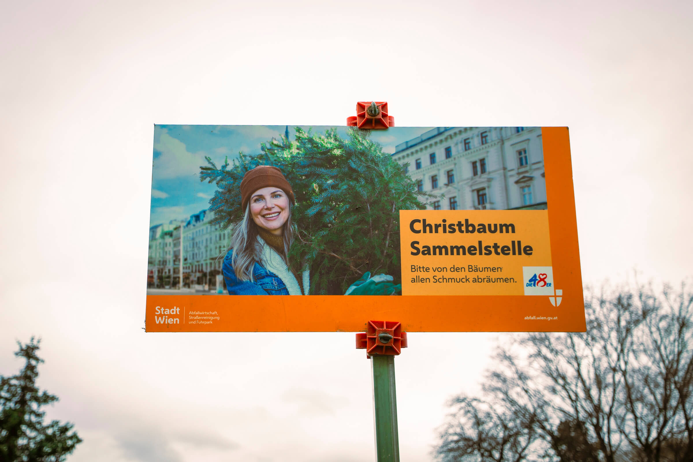 Schild für eine Weihnachtsbaumsammelstelle mit einer lächelnden Person, die einen Baum hält. Im Hintergrund sind Gebäude und Bäume zu sehen.