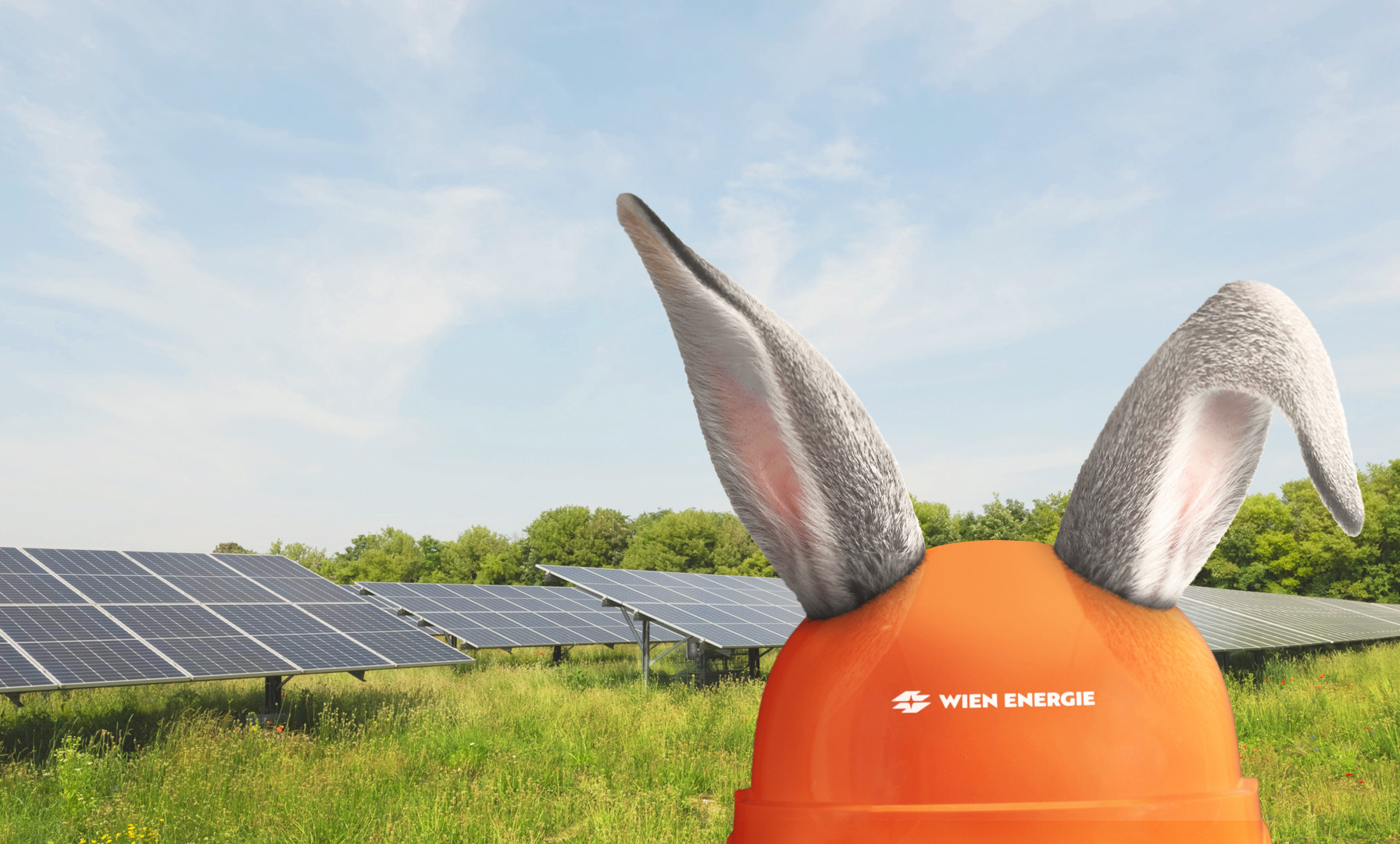 Osteraktion 2026 Header